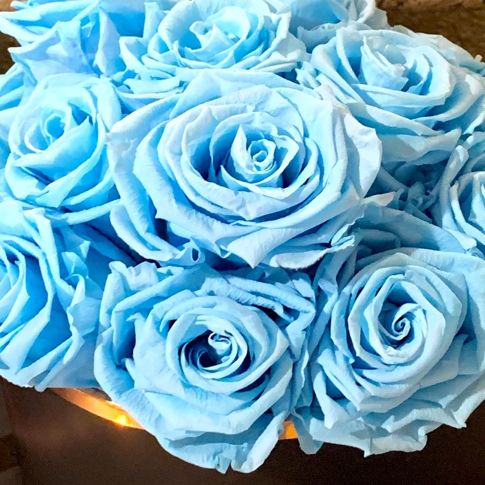 Meet your Posher, Jane